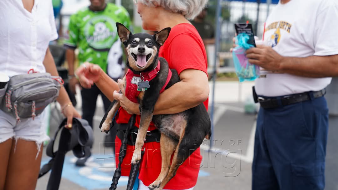 Small dog wearing a red harness being held by a person, with several people standing around in an outdoor public area.